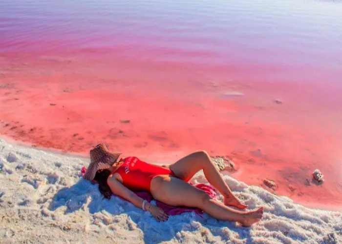 Penthouse In By Interhome 托雷维耶哈