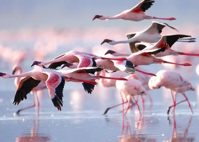 公寓 Penthouse In By Interhome